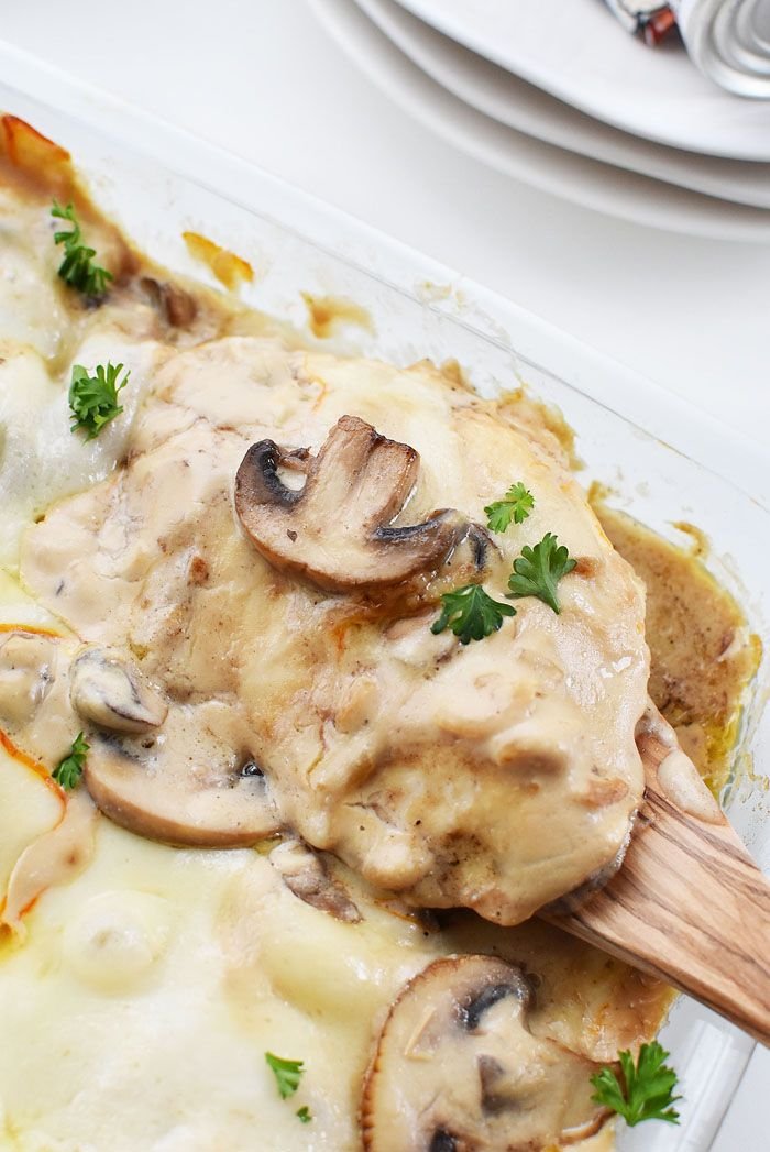 hướng dẫn nuôi gà đá vào mùa mưa hướng dẫn nuôi gà đá vào mùa mưa
